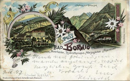 Bormio (Sondrio) - Gruss 1897 - Sondrio