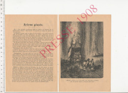 Arbres Géants Arbre Ifs If Baron De La Lande-Patry Saint-Nicolas-de-Pierrepont Châtaignier Sequoia Géant Californie - Non Classés