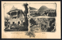 AK Lugano, Villa Und Pension Stauffer, Entrée  - Lugano