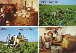 *CPM - Vendanges D'hier Et D'aujourd'hui - Multivues - - Weinberge