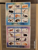 1994	Ghana	Cats 15 - Ghana (1957-...)
