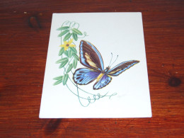 76543- VLINDERS / BUTTERFLIES / PAPILLONS / SCHMETTERLINGE / FARFALLAS / MARIPOSAS / UNUSED CARD - Butterflies