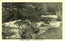 Belgique - Liège - Hamoir Sur Ourthe - Cascades Du Néblon - Hamoir