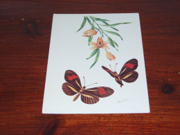 76548- VLINDERS / BUTTERFLIES / PAPILLONS / SCHMETTERLINGE / FARFALLAS / MARIPOSAS / UNUSED CARD - Vlinders