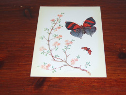 76552- VLINDERS / BUTTERFLIES / PAPILLONS / SCHMETTERLINGE / FARFALLAS / MARIPOSAS / UNUSED CARD - Mariposas