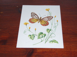 76554- VLINDERS / BUTTERFLIES / PAPILLONS / SCHMETTERLINGE / FARFALLAS / MARIPOSAS / UNUSED CARD - Mariposas