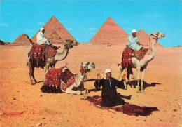 EGYPTE - Cairo - Arab Camelriders In Front Of The Pyramids - Carte Postale - Le Caire