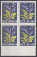 1966 , Mi 1211 ** (2) -  4er Block Postfrisch - Alpenflora - Kärntner Wulfenie - Ongebruikt