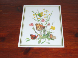 76559- VLINDERS / BUTTERFLIES / PAPILLONS / SCHMETTERLINGE / FARFALLAS / MARIPOSAS / UNUSED CARD - Butterflies