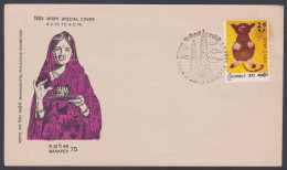 Inde India 1975 Special Cover Mahapex, Stamp Exhibition, Woman Women, Traditional, Sari, Culture, Pictorial Postmark - Brieven En Documenten