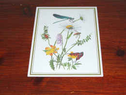 76563- VLINDERS / BUTTERFLIES / PAPILLONS / SCHMETTERLINGE / FARFALLAS / MARIPOSAS / UNUSED CARD - Schmetterlinge