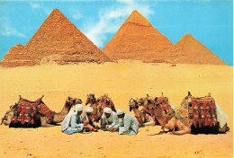 EGYPTE - Giza - Rest Near The Pyramids - Carte Postale - Guiza