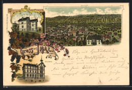 Lithographie Thal, Krankenhaus, Schulhaus, Ortsansicht Aus Der Vogelschau  - Thal