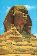 EGYPTE - Giza - La Tête Du Grand Sphinx - Carte Postale - Guiza
