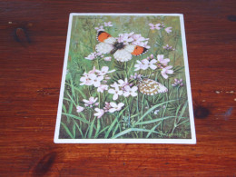 76571- VLINDERS / BUTTERFLIES / PAPILLONS / SCHMETTERLINGE / FARFALLAS / MARIPOSAS / UNUSED CARD - Mariposas