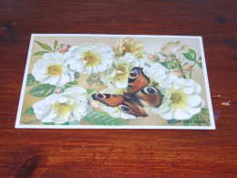 76574- VLINDERS / BUTTERFLIES / PAPILLONS / SCHMETTERLINGE / FARFALLAS / MARIPOSAS / UNUSED CARD - Papillons