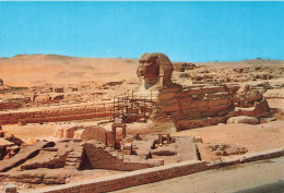EGYPTE - Giza - The Great Sphinx - Carte Postale - Gizeh
