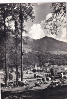 Val Vigezzo Druogno La Pineta - Sonstige & Ohne Zuordnung