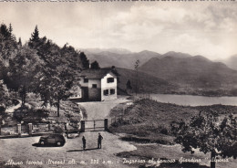 Alpino Sopra Stresa Ingresso Al Famoso Giardino Alpinia - Autres & Non Classés