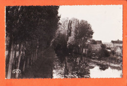 11775 / ⭐ PREUILLY-sur-CLAISE 37-Indre Loire Bords Rivière CLAISE 1952 à AGOGUE Rue Sibuet Paris-Cliché IVANOFF ROUSSEL - Other & Unclassified