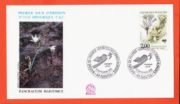11982 / ⭐ PANCRACUM MARITIMUS Photo LIEUTIER-JACANA 1er JourEspèces Zones Humides NANTES 12 Septembre 1992 F.D.C - 1990-1999