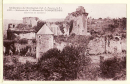 11541 / Environs De LANNION TONQUEDEC Côtes-du-Nord Armor Lees Ruines Du Chateau 1920s - De Bretagne Coll. HAMONIC 812 - Tonquédec