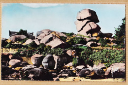 11580 / PLOUMANAC'H PERROS GUIREC Côte-du-Nord Le Chapeau De NAPOLEON 1950s Bromure Colorisée YVON B.C 527 - Ploumanac'h