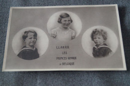 RARE,superbe Ancienne Photo Originale,Royauté De Belgique,pour Collection,photo,photographe - Personnes Identifiées