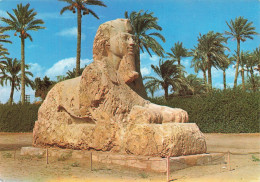 EGYPTE - Giza - The Sphinx Of Sakkara - Carte Postale - Gizeh