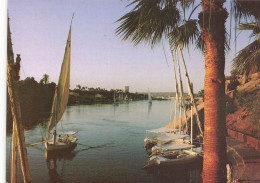 EGYPTE - Asswan - View Of Nile - Carte Postale - Aswan