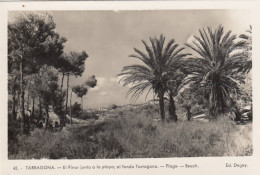 Tarragona, El Pinar Junto A La Playa Ngl #F1975 - Autres & Non Classés