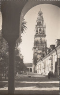 Córdoba, Torre De La Catedral Ngl #F1985 - Other & Unclassified