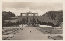 Wien, Schönbrunn, Neptungruppe Und Gloriette Ngl #F1718 - Sonstige & Ohne Zuordnung