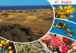 Gran Canaria, Souvenir Playa Del Ingles Gl1980 #F2406 - Sonstige & Ohne Zuordnung