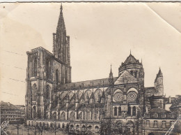 Strasbourg, La Cathedrale, Côté Sud Gl1923? #F2596 - Sonstige & Ohne Zuordnung
