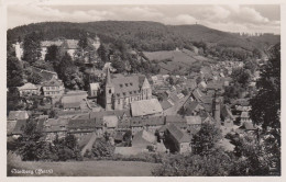 Stolberg Im Harz, Panorama Ngl #F1751 - Altri & Non Classificati