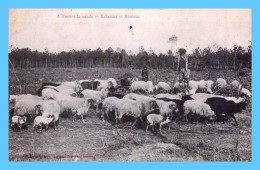 CPA - A Travers La Lande -  (40) - Echassier Et Moutons - Autres & Non Classés