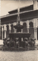 Granada, Alhambra, Patie De Los Leones Ngl #F1965 - Other & Unclassified