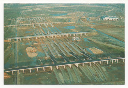 EURO TUNNEL - PARTIE DU TERMINAL DE CALAIS , AVEC LES QUATRE PONTS D'ACCÈS EN COURS DE CONSTRUCTION - Trains