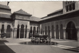 Granada, Alhambra, Patio De Los Leones Ngl #F2377 - Otros & Sin Clasificación