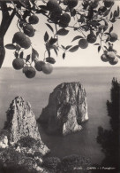 Capri, I Faraglioni Ngl #F2345 - Other & Unclassified