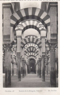 Córdoba, Interior De La Mezquita Catedral Ngl #F1979 - Otros & Sin Clasificación