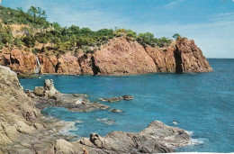 Roches Rouges (Côte De L'Esterel - Var) Glum 1960? #F4443 - Saint-Raphaël