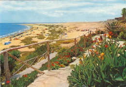 Gran Canaria, Playa Del Ingles Glum 1970? #F2405 - Sonstige & Ohne Zuordnung