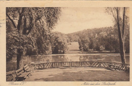 Plauen I.V., Motiv Aus Dem Stadtpark Gl1929 #F2910 - Otros & Sin Clasificación