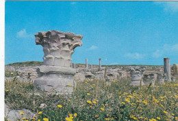 Tunesien, Carthage, Ruines Romaines Ngl #F4489 - Zonder Classificatie