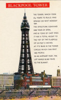 Blackpool Tower Ngl #F3146 - Altri & Non Classificati