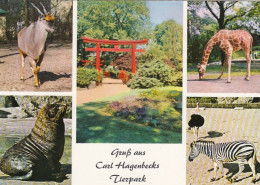 Hamburg-Stellingen, Carl Hagenbeck's Tierpark, Mehrbildkarte Ngl #F5680 - Sonstige & Ohne Zuordnung