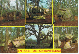 SEINE Et MARNE - En Forêt De FONTAINEBLEAU En 6 Vues - Editions " Guy " - N° 5982 - Fontainebleau