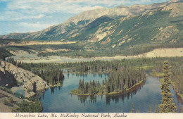 Alaska, Horseshoes Lake, Mc Kinley National Park Gl1981 #F4624 - Other & Unclassified